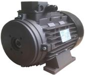 RAVEL H132 S HP 10 4P MA AC KW 7.5 4P