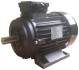 RAVEL H112 HP 7.5 4P MA AC KW 5,5 4P (внешний вал)